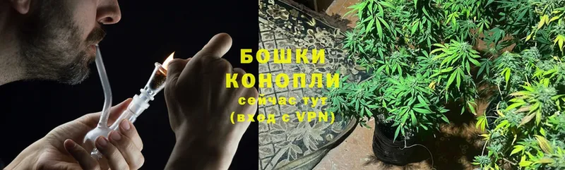 Канабис Bruce Banner  Мурманск 